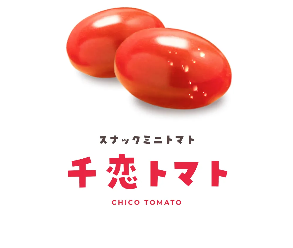スナックミニトマト
千恋トマト